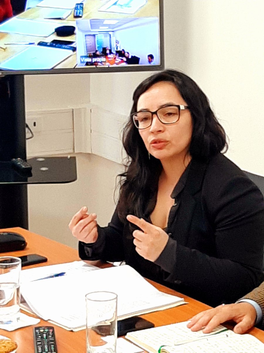 Ahora, con Corfo y Energía, <a href="/coreaysen/">Consejo Regional de Aysén</a> dialogando sobre estudio de escenarios para diversificación de #MatrizEnergética, en el contexto de la necesidad de #DescontaminarLosTerritorios, #FortalecerLaProductividad, #MásConectividad