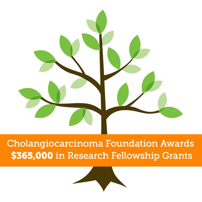 Cholangiocarcinoma Foundation Awards $365k in Research Fellowship Grants in Largest Funding Cycle to Date💚 #curecca #cholangiocarcinoma #bileductcancer cholangiocarcinoma.org/cholangiocarci…