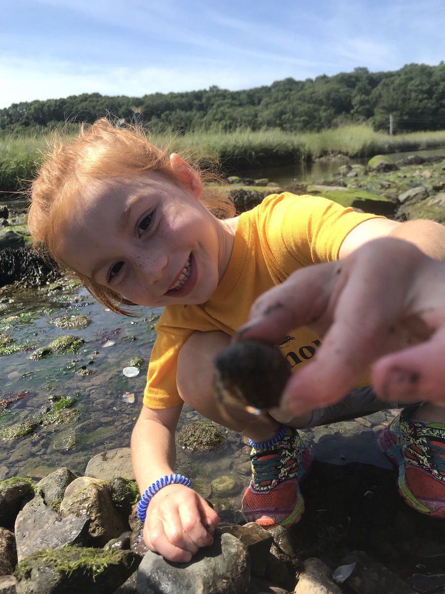 WeyRec's tweet photo. Our Rovers had a wicked fun time building Crab City yesterday and making some octopus crafts at Great Esker 🐙  #WeyRec https://t.co/BBdJ18i3nX
