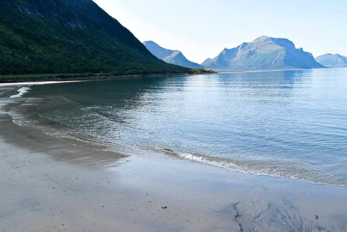 TursidenNO's tweet photo. Storvika beach in Gildeskål #storvika #gildeskål #beach #norway https://t.co/o71VdFFqOA