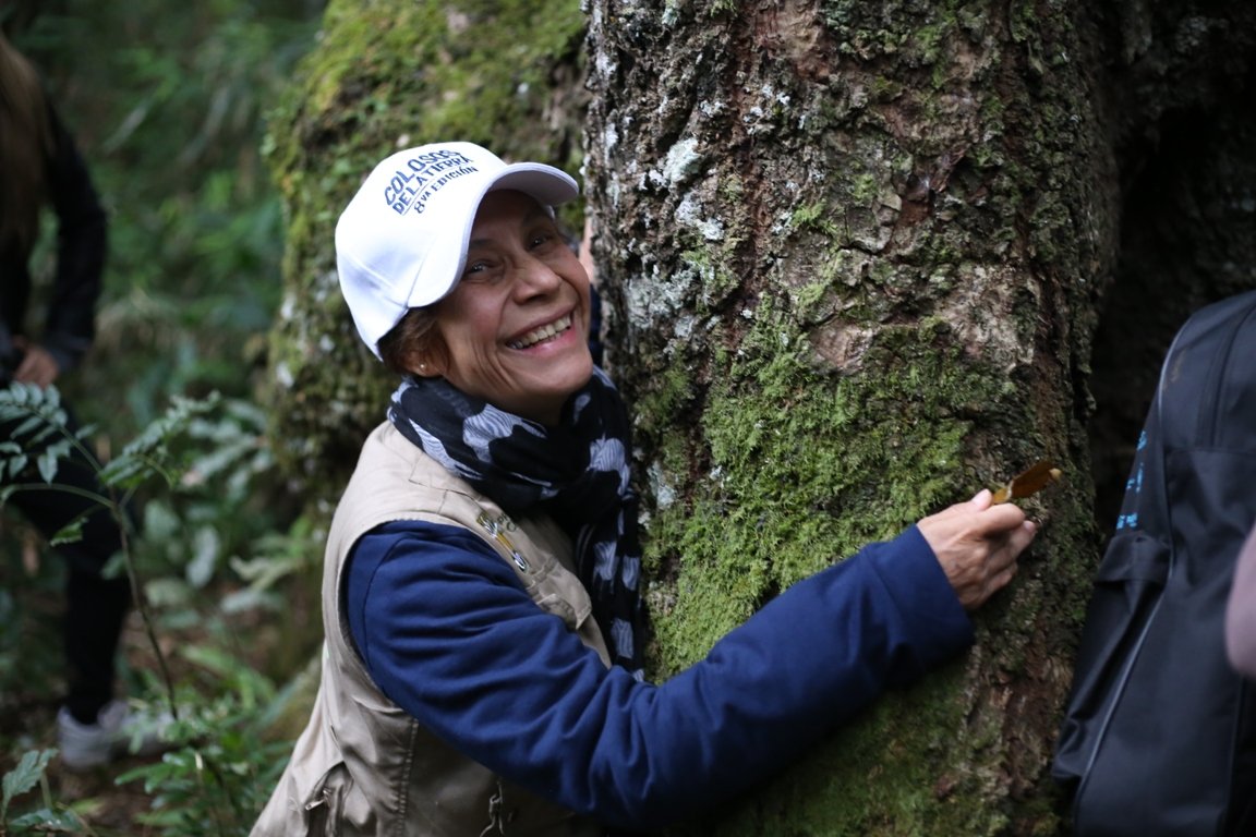 argentinaforest's tweet photo. #ÉlYaEstaba #ColososDeLaTierra #Paraguay - Entrevista a la "Profe" Lidia Pérez de Molas: “El Bosque Atlántico es un laboratorio natural para los jóvenes, ellos serán los líderes ambientales del futuro”
https://t.co/o1yakMLsEh
@atodopulmonPY @oiri72 @dohmann_romario @aisman6 https://t.co/hkOctgF9B6
