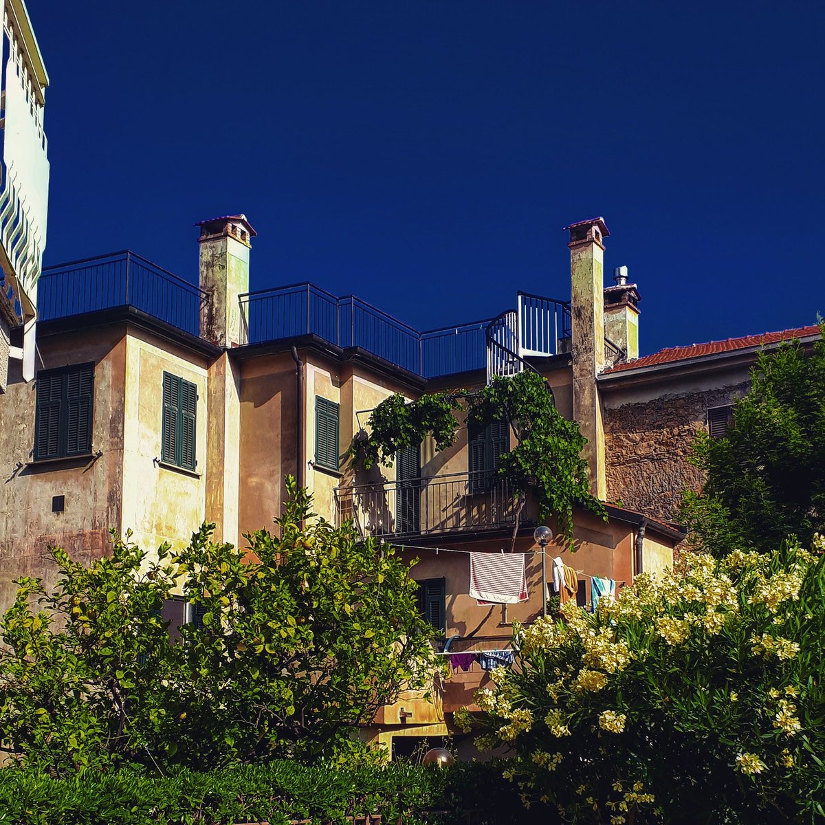 Solarità a #mezzogiorno.
.
#Mediterraneo #Andora #noon #Liguria #igliguria #estate