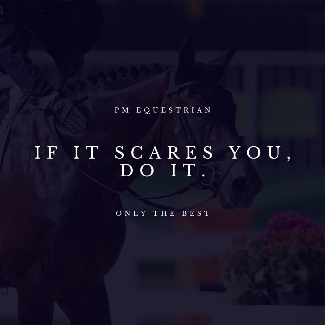 LD Equestrian tweet media