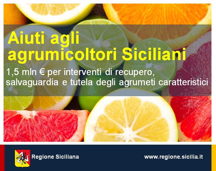 Regione Siciliana tweet media