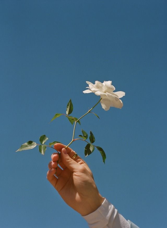 _RogerKr_'s tweet photo. " ǀ мιѕѕ му ƒαмιℓу . . "
=>Kᴜʀᴀɴᴀsʜɪ Fᴜᴋᴜᴡᴀ
=>ᴛʜᴇ sᴏɴ ᴏғ ᴀ ᴅᴇᴍᴏɴ ᴀɴᴅ ᴀ ᴋɪᴛsᴜɴᴇ
=>19 ʏᴇᴀʀs ᴏʟᴅ ʙᴏʏ
=>ʙɪ
#Single
#OpenRP
#AnyRP
Ẇяıṭєя ṭѧɢ:
#Chouu
❤️&🔁? https://t.co/ZOaaxzb9cZ