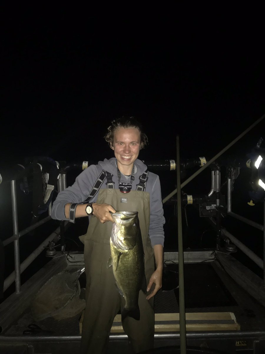 RocksandRivers's tweet photo. Had a great time learning how to electroshock fish last night- I’ll take catching 11 species over sleep anytime. Thanks @marysolokas and @DannySzydlowski for teaching us! #fishscapes #electrofishing https://t.co/sCe5hBm9DW