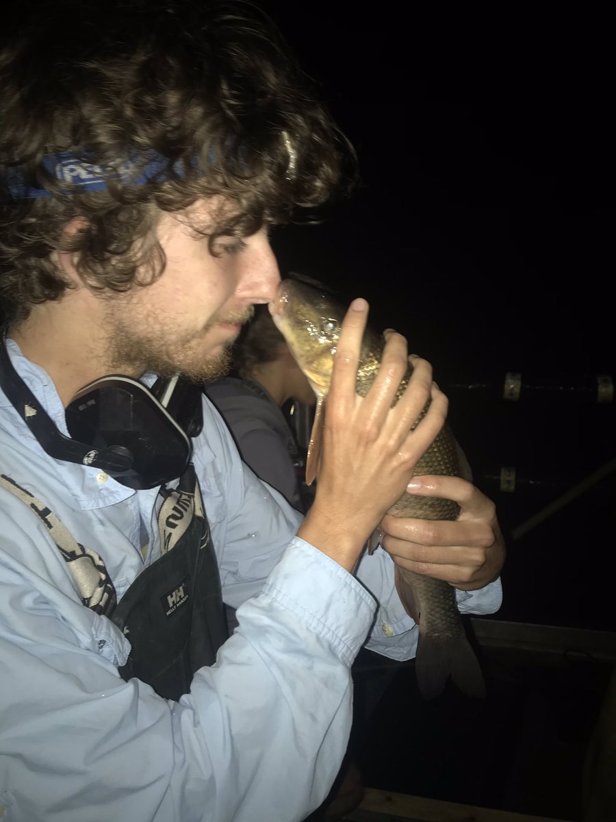 RocksandRivers's tweet photo. Had a great time learning how to electroshock fish last night- I’ll take catching 11 species over sleep anytime. Thanks @marysolokas and @DannySzydlowski for teaching us! #fishscapes #electrofishing https://t.co/sCe5hBm9DW