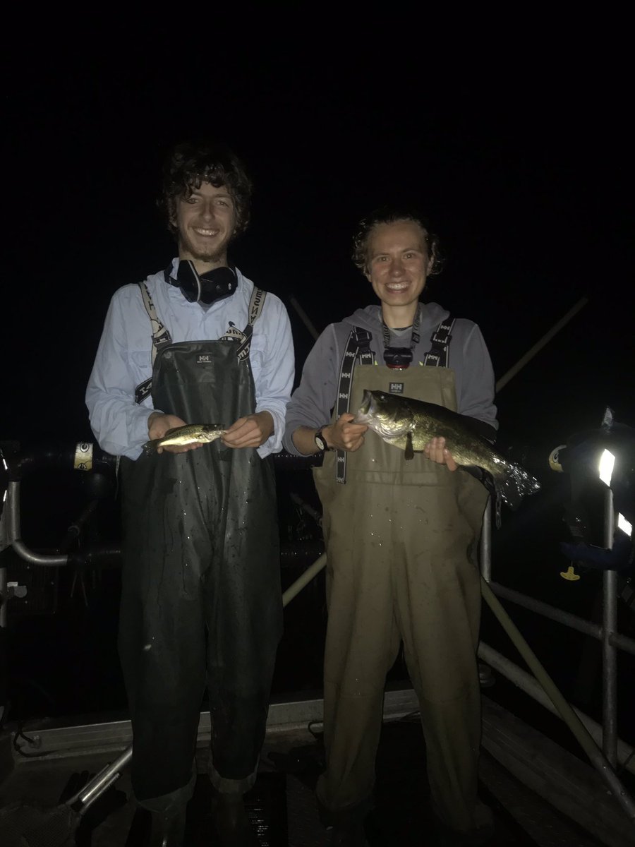 RocksandRivers's tweet photo. Had a great time learning how to electroshock fish last night- I’ll take catching 11 species over sleep anytime. Thanks @marysolokas and @DannySzydlowski for teaching us! #fishscapes #electrofishing https://t.co/sCe5hBm9DW