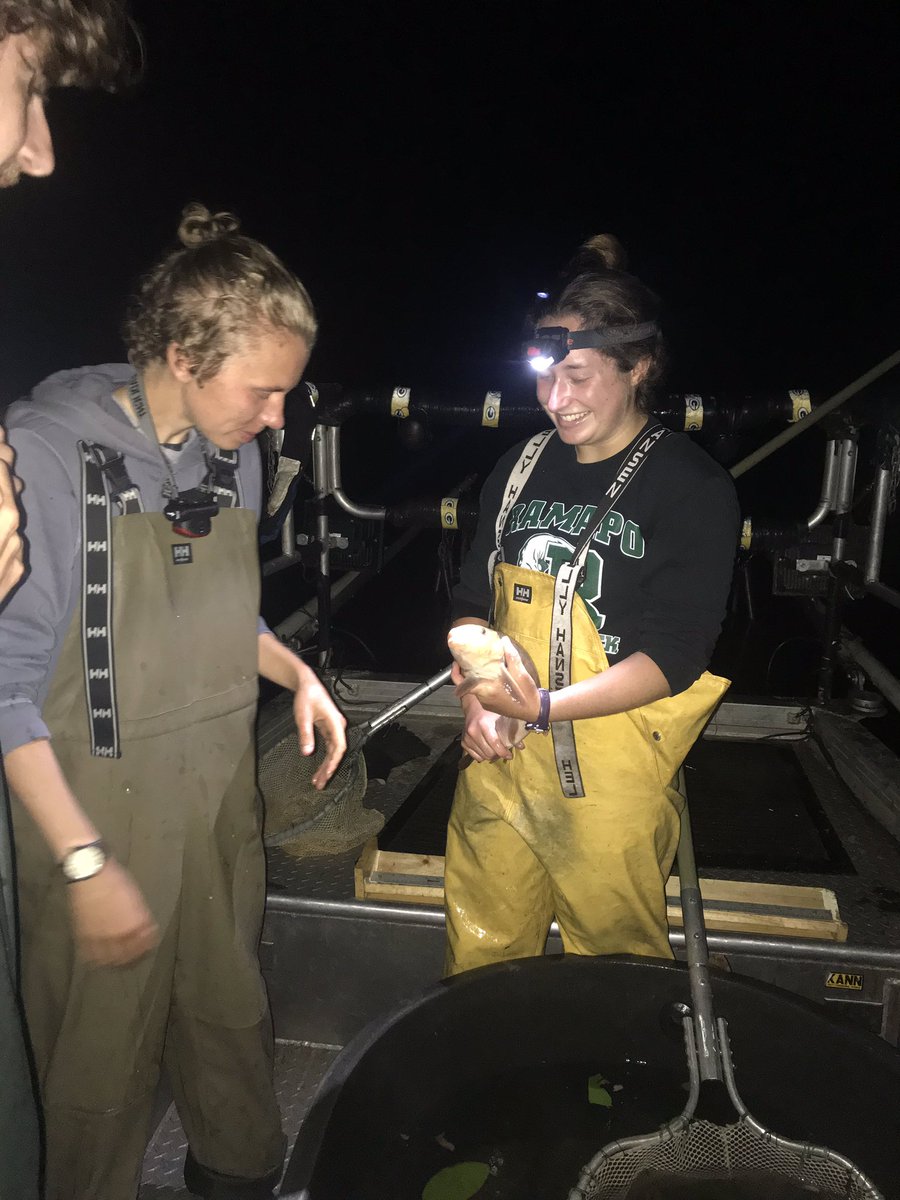 RocksandRivers's tweet photo. Had a great time learning how to electroshock fish last night- I’ll take catching 11 species over sleep anytime. Thanks @marysolokas and @DannySzydlowski for teaching us! #fishscapes #electrofishing https://t.co/sCe5hBm9DW