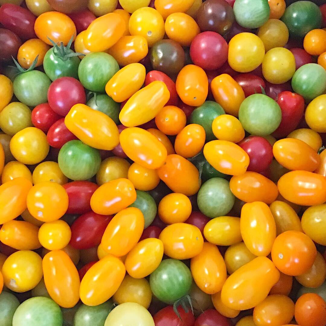 The best delivery from <a href="/iowtomatoes/">Isle of Wight Tomatoes</a> this morning! 🍅 The freshest beefsteak, heritage, cherry and classic vine tomatoes around! #gethembeforetheyregone #tomatoes #colourful #thetomatostall #IsleofWight