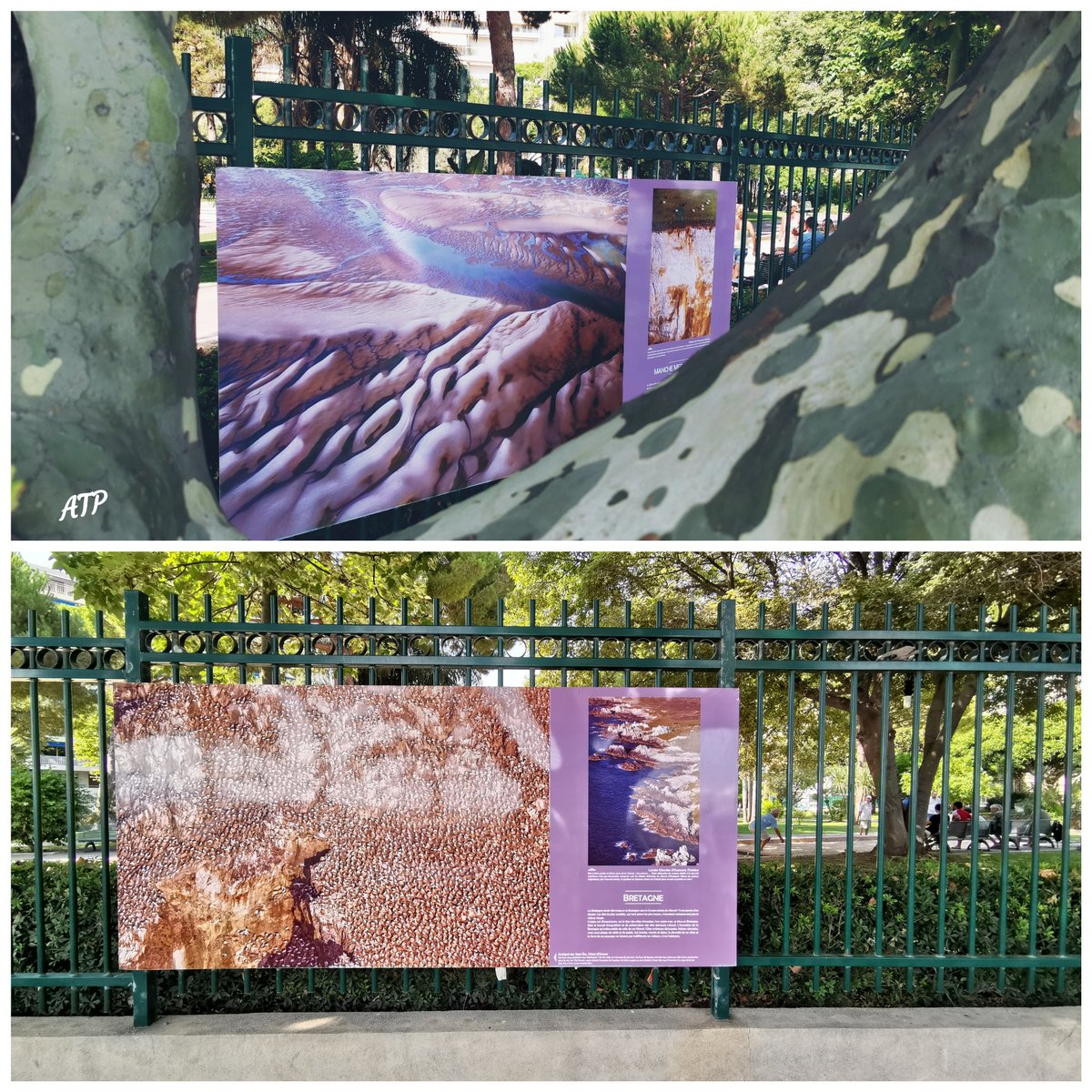 alainstantT's tweet photo. Magnifique Expo Photos du #ConservatoireDuLittoral : '40 ans de merveilles préservées en #France' sur les grilles du #SquareMistral de la @villecannes...
https://t.co/1lTHMSvg8m...
https://t.co/VvL6HkICbP... #CotedAzurFrance #CoteDazurNow https://t.co/5wIFug7mWQ