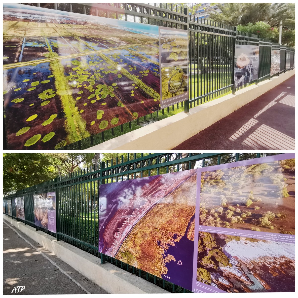 alainstantT's tweet photo. Magnifique Expo Photos du #ConservatoireDuLittoral : '40 ans de merveilles préservées en #France' sur les grilles du #SquareMistral de la @villecannes...
https://t.co/1lTHMSvg8m...
https://t.co/VvL6HkICbP... #CotedAzurFrance #CoteDazurNow https://t.co/5wIFug7mWQ