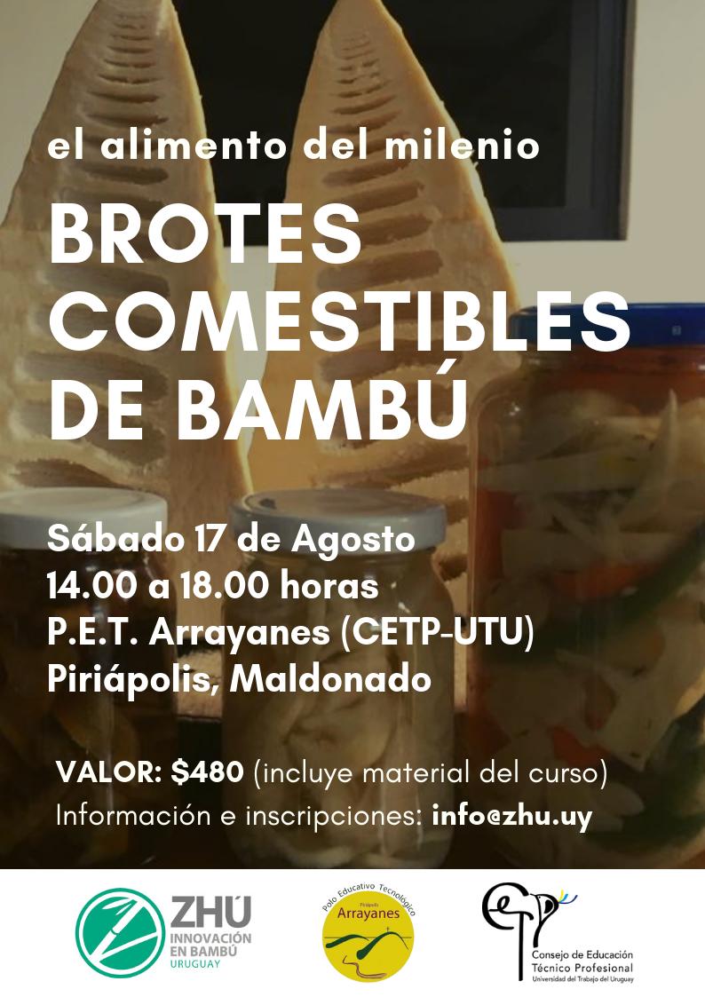 zhubambu_uy's tweet photo. 🎋🐼 ¿Sabías que el bambú es un #superalimento para los humanos? Y la #tacuara es uno de los bambúes comestibles... 👉🏻🗓Te invitamos al primer evento de #BrotesComestibles de #Bambú en #Uruguay 🇺🇾https://t.co/cMwN3LCmq9 #ZHÚuy #Innovación #EconomíaBambú #BambuserosLatinoamérica https://t.co/fNOzhNe7iF