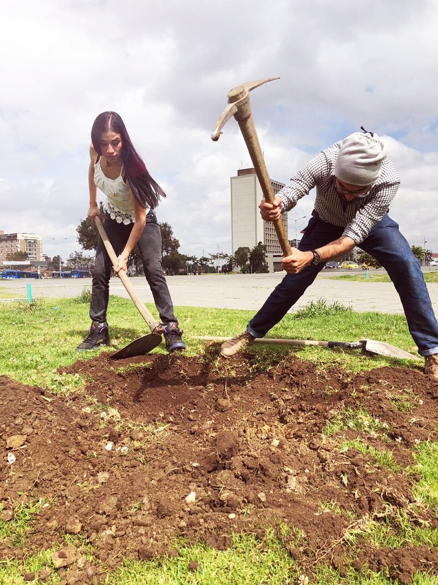 EdilJasminG's tweet photo. "Quien sabe lo que siembra no le tiene miedo a la cosecha".
Soy hija de Ciudad Bolívar, donde se respira amor vida y respeto.
#yoamociudadbolivar
#ciudadbolivaresrural
#siembravida
#87verde #11verde https://t.co/q4lOktC0jy