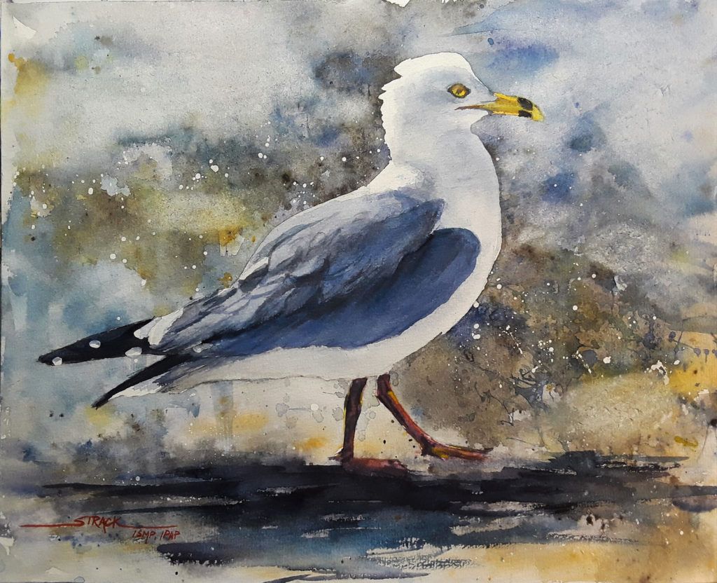 Artist Daily tweet media