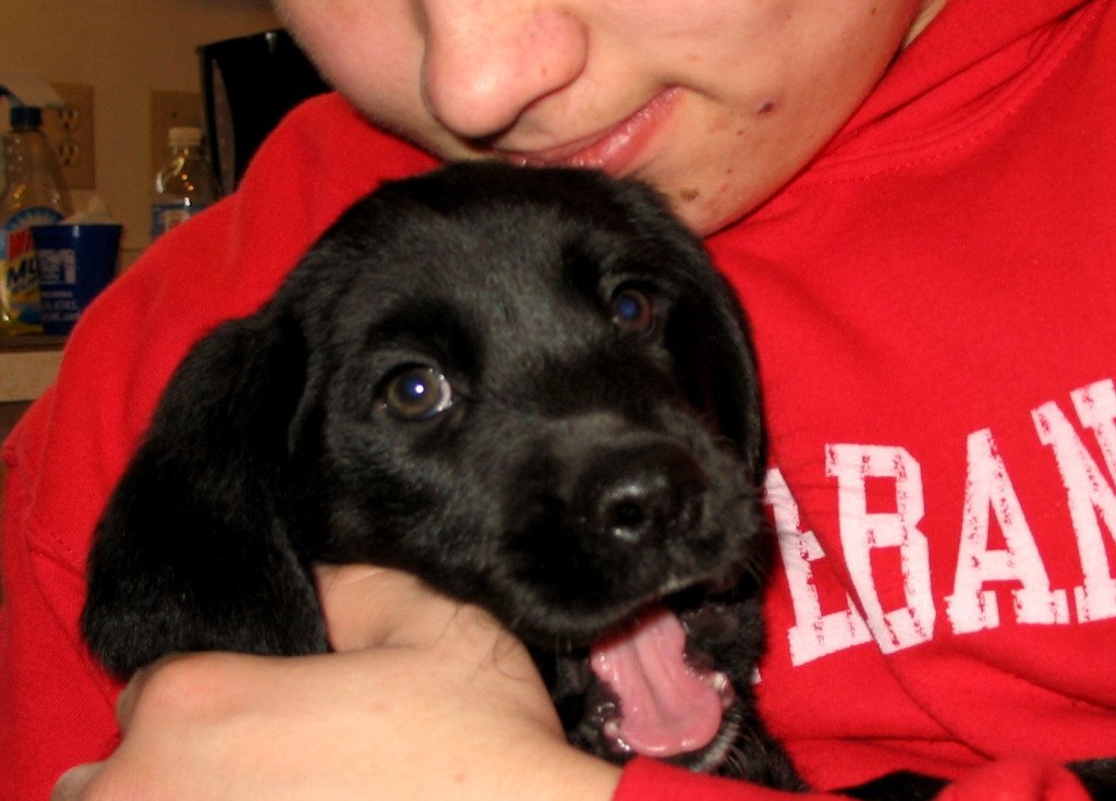 Dani_Jace's tweet photo. Dog Days Throughout the Years https://t.co/ZOj4bk0f27 https://t.co/l6ImLfkH5z