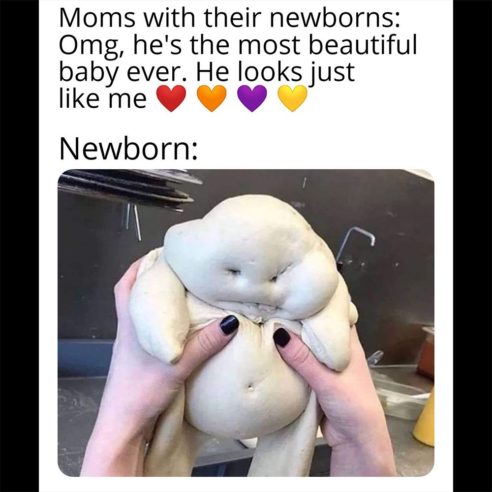 توییتر Meme Generator در توییتر Sure He S As Cute As An Alien From Area 51 Doughbaby Area51 Aliens T Co Yauj1yite1