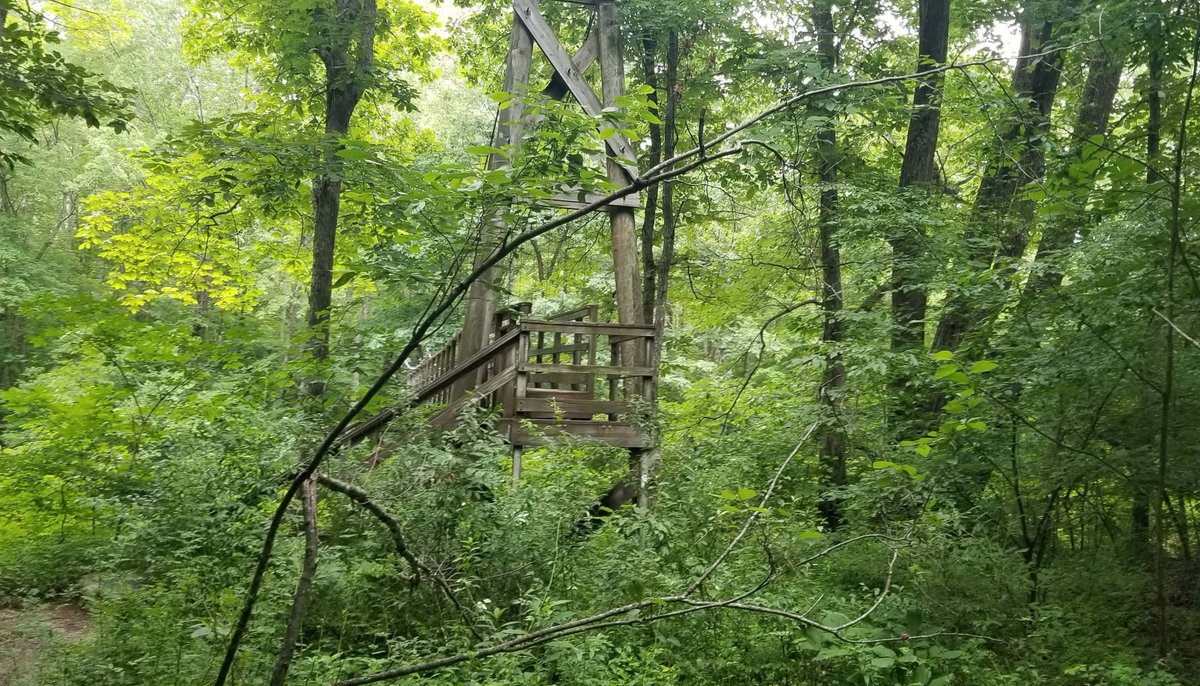 WanderingKM's tweet photo. Why hello there.

#bridge #treebridge #nature #travel #forest #woods #green #thruhike #hike #twk #thelongwalk #youtube #thewanderingkiltsman https://t.co/pUuaURhJxO