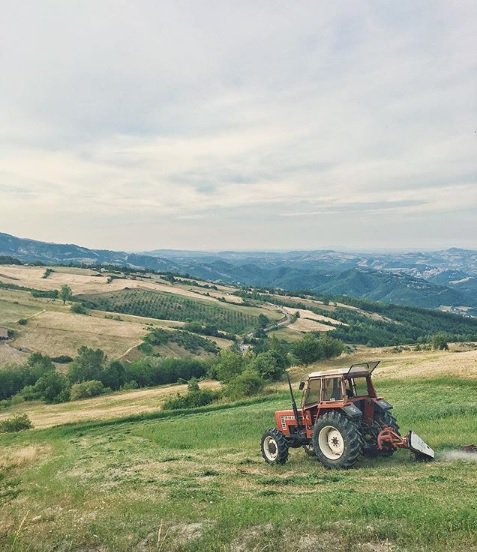 MarcheTourism's tweet photo. "Nel cammino verso casa, gli occhi non finivano di stupirsi" 
 #Marche, bellezza infinita!

https://t.co/Th2IQeLDwR
#destinazionemarche

Foto @Maricci5 https://t.co/7OTh5bRcF6