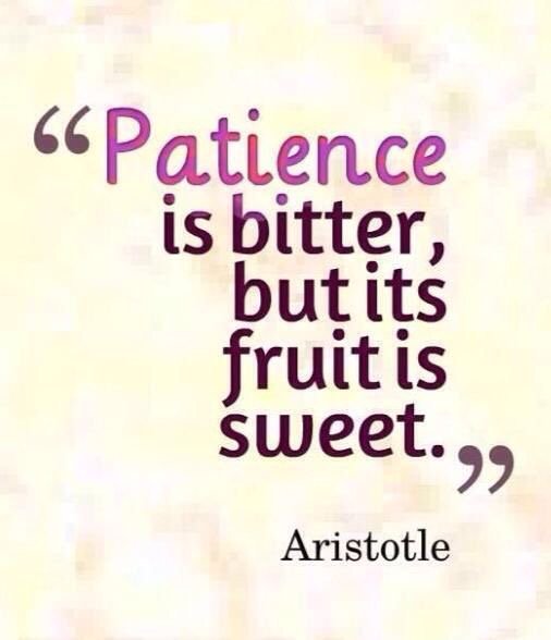 ReemsQuotes's tweet photo. " الصبر مُر، ولكن ثماره حلوة".

_ أرسطو https://t.co/M2x87BtDp1
