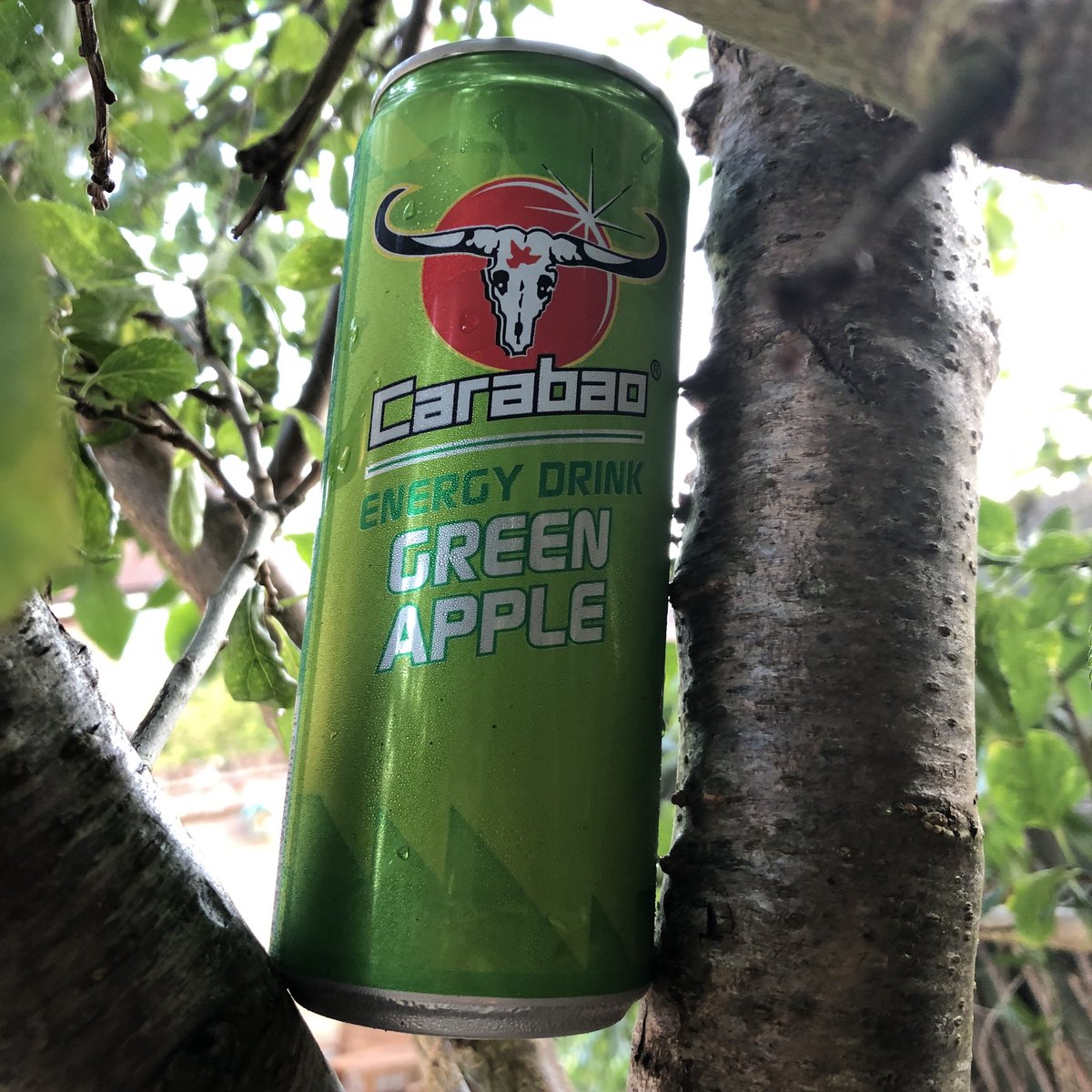 BoutiquePhoto1's tweet photo. I am not normally a fan of energy drinks but was pleasantly surprise by this one has a great apple. @CarabaoUK #Triyit #HalfTheSugar https://t.co/cMaXYgDfPk