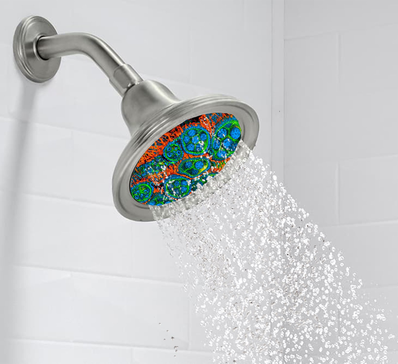 Vector Laboratories on Twitter "Intricate yet incredibly useless and