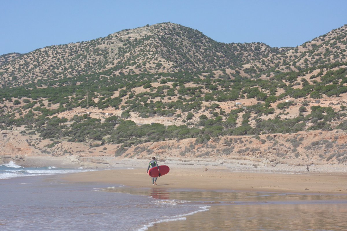 ShakaSurfMoroc's tweet photo. "Some people travel to surf, but lots of times I feel like I surf so I can travel."
~ Chris Malloy
.
.
.
#morocco #surfing #surfquote #surfquotes #surfholiday #tuesdaytravels #surftrip #surftravel #surfingtime #surfers https://t.co/mCdGwvBfGS