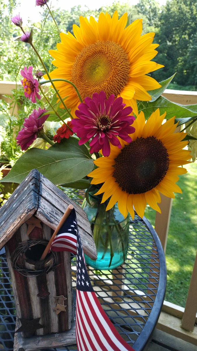 classycabernet's tweet photo. "@ThiesFarm Straight from the garden🐝🚜 🤗 https://t.co/Uqevnx3uqt