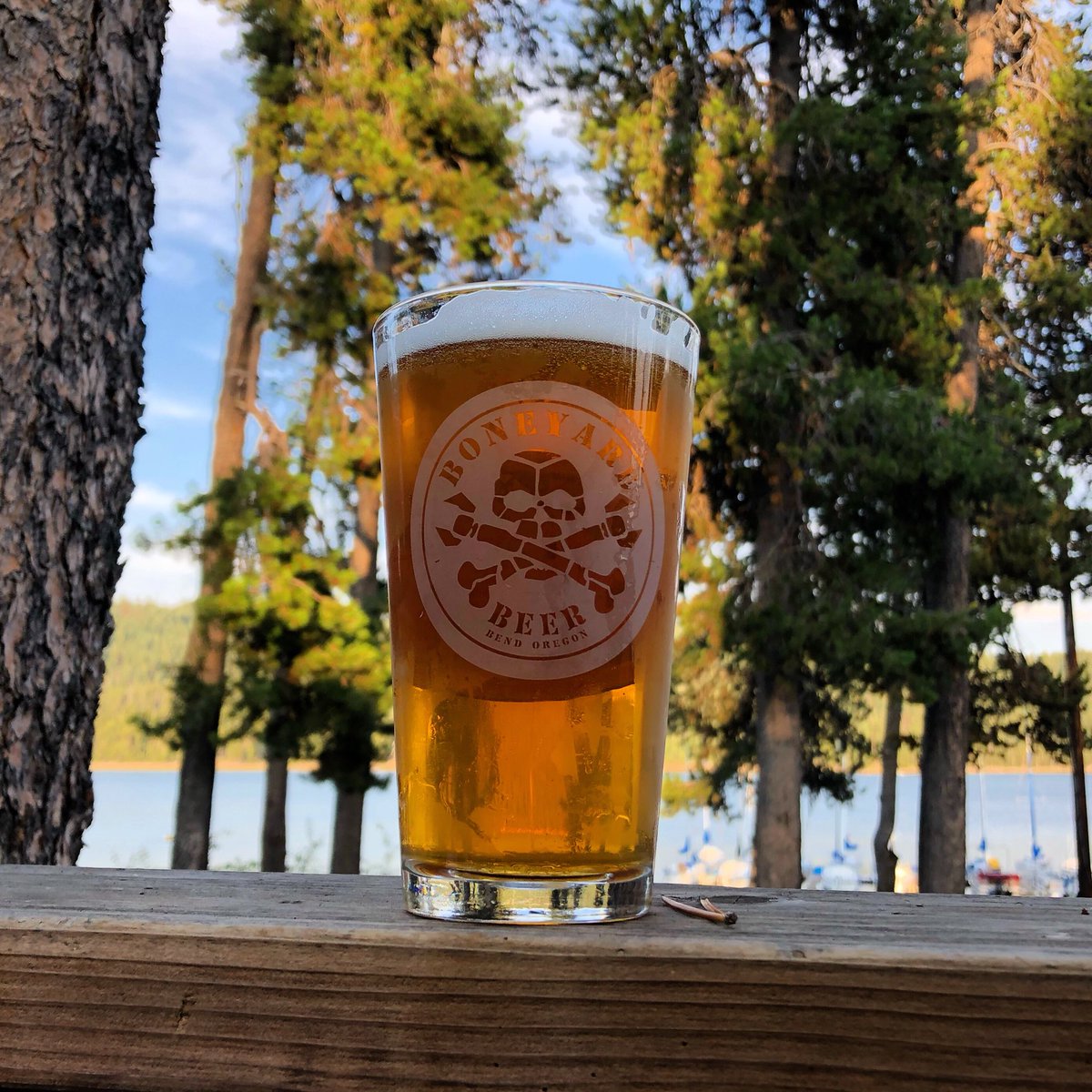 BoneyardBeer's tweet photo. A pint of RPM at @elklakeresort is always a good idea. #letitbeknown #boneyardbeer #elklake #rpmipa #musiconthewater https://t.co/muFdC3GFot