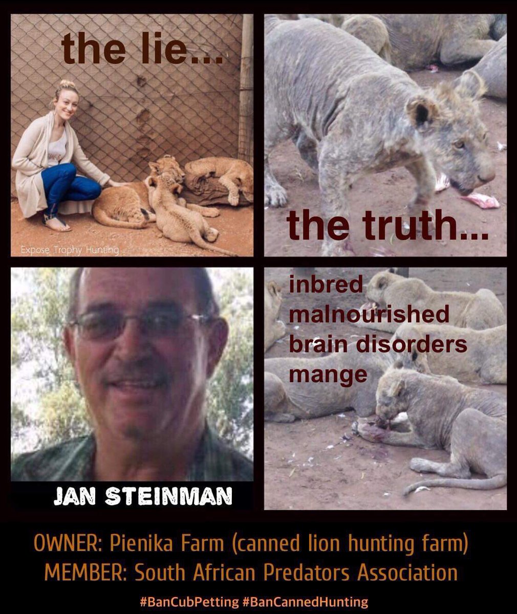 XposeTrophyHunt's tweet photo. More scenes of animal abuse were unearthed at Jan Steinman’s lion farm, while the local SAPS fails to act on the charges laid against the him by the NSPCA in May. Article by @GreenGirlAfrica 
@Protect_Wldlife @PeterEgan6 @_AnimalAdvocate @RobRobbEdwards 
https://t.co/gr4drhld9l… https://t.co/20aPBUl1na