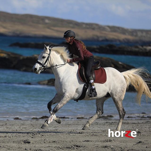 equestperform's tweet photo. "If you are fearful, a horse will back off. If you are calm and confident, it will come forward. For those who are often flattered or feared, the horse can be a welcome mirror of the best in human nature." #MondayMotivation from Clare Balding 😍🐎 ••#Spring #Summer #HorzeS… https://t.co/txRWBCVUUj