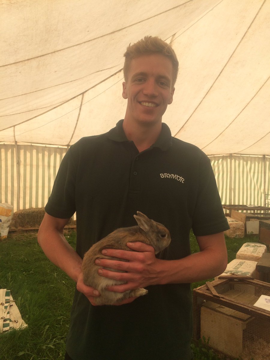 Easingwold Maize tweet media