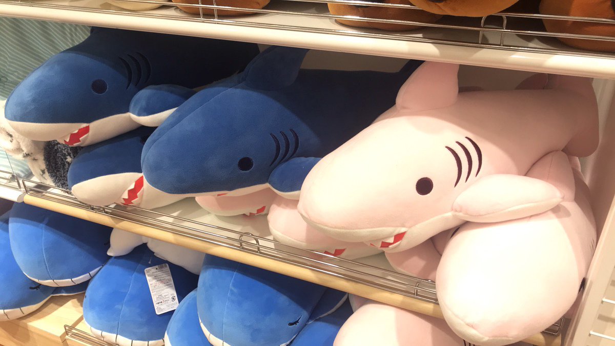 Samemi ダイソーで500円の抱き枕 ピンクのサメなんているわけないやん はい 可愛い 欲を言えば鰓孔があと２つは欲しかった