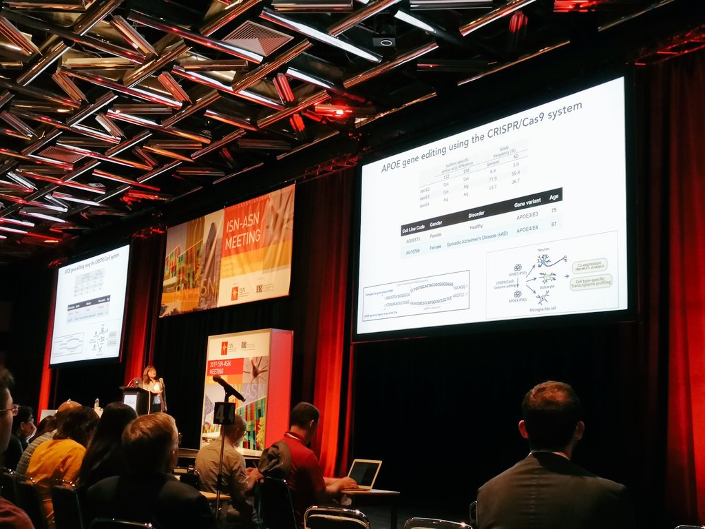 EvgenyBarykin's tweet photo. Insightful talk on Alzheimer's disease mechanisms uncovered with single-cell RNAseq by LH Tsai at #ISNASN2019 meeting #WeAreNeurochemistry
#EIMB https://t.co/ScTZ4gsaXS