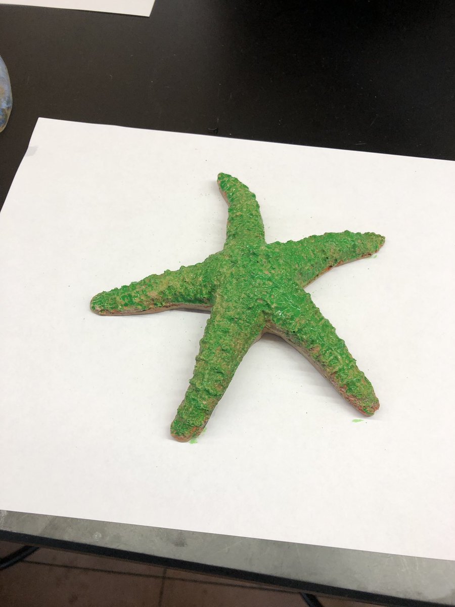 Continuation of Day 1 at Beaver Island:  We connected art and Science together creating Gyotaku (Fish Images)#mylsps