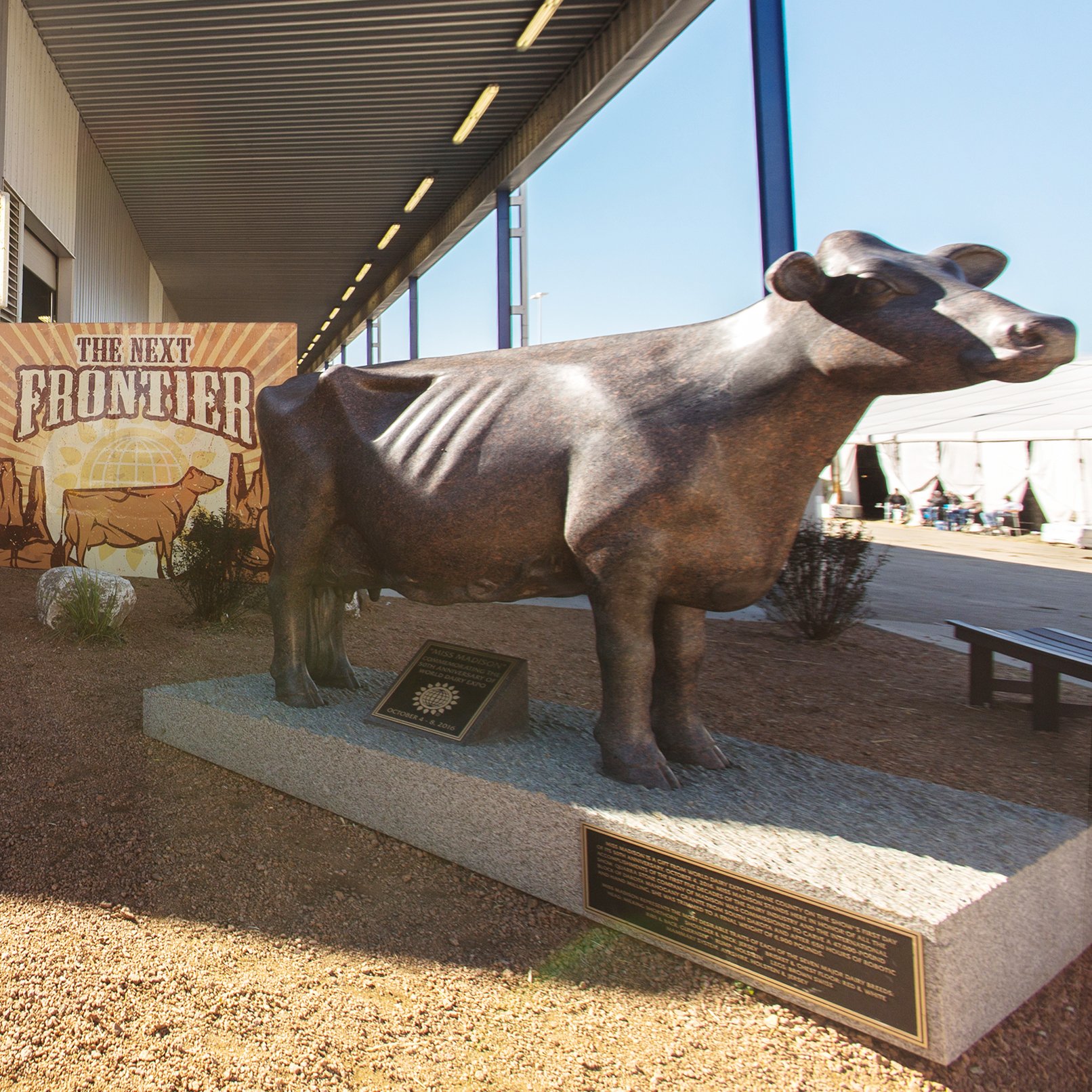 World Dairy Expo on Twitter "Dreaming of sunny days with Miss Madison