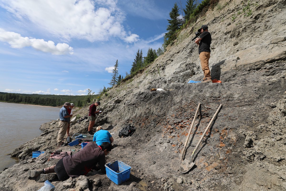 brandyyanchyk's tweet photo. Finding #dinosaur bones in #GrandePrairie, #Alberta is hard work. We're filming #DinoTrails S2 here. Thank you to @AncientAnatomy, #CorwinSullivan and his #BADP team from @UAIberta & @CurrieMuseum for letting us come along. #TelusOriginal @STORYHIVE #WatchLocal #WapitiDinos https://t.co/vdDcRoqwRJ