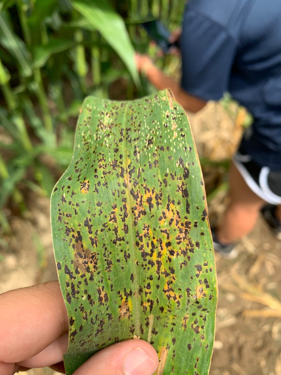 Martin Chilvers tweet media