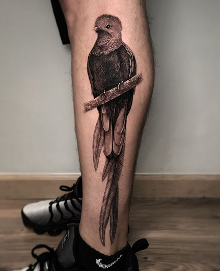 Tattoo uploaded by Alex  The quetzal one of the most beautiful birds Ive  ever seen and my personal favourite Its high on my soon to be tattooed  list megandreamtattoo  Tattoodo