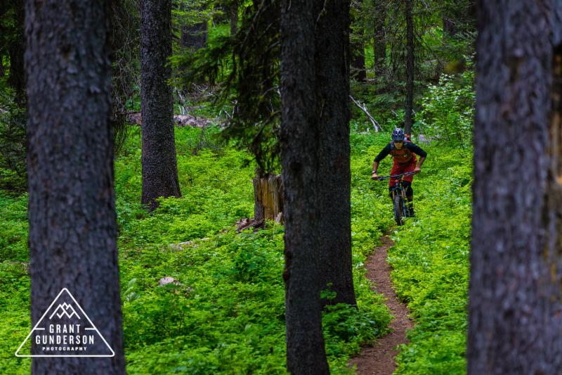 McCall Area Chamber August 2019 Newsletter! conta.cc/2yzntQh