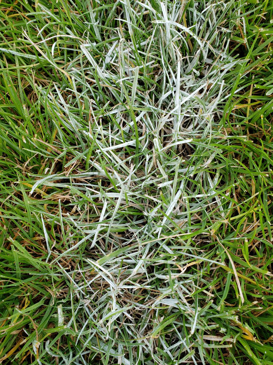 Jim Connolly tweet media