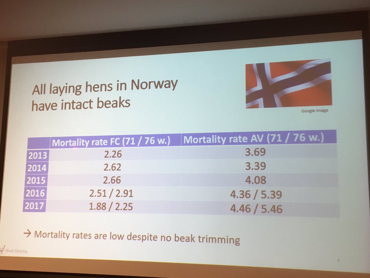 LABoyle2's tweet photo. Beak trimming (to avoid #featherpecking) banned in Norway and other countries (Germany and I think NL not mentioned) but they still have low hen mortality rates. They are not allowed by law to have more than 7500 birds per flock ๐ฎ #poultrywelfare #ISAE2019Bergen @GroupHouseNet1 https://t.co/HTQMii9Gj9