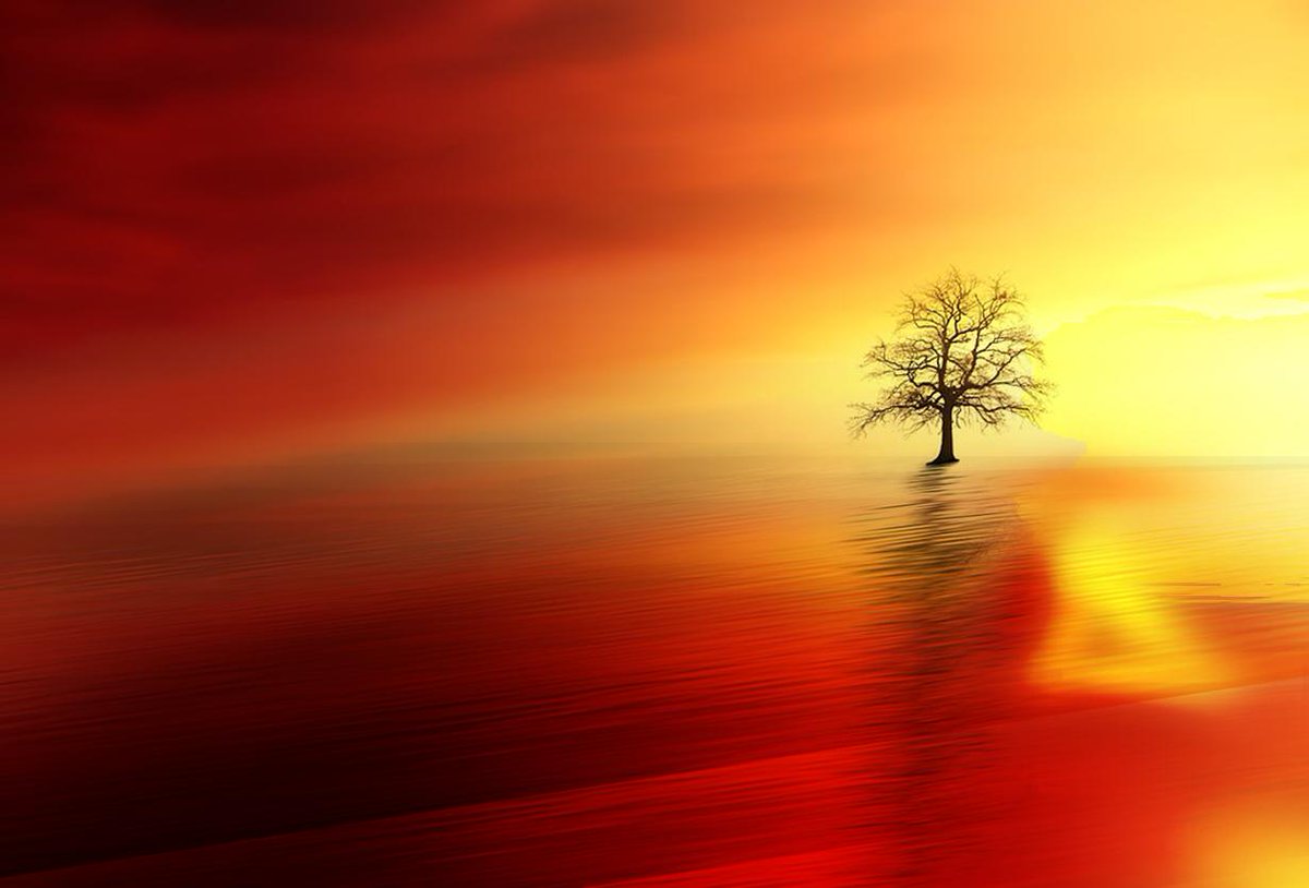 At leisure, I painted in #photoshop 

#4La0nly