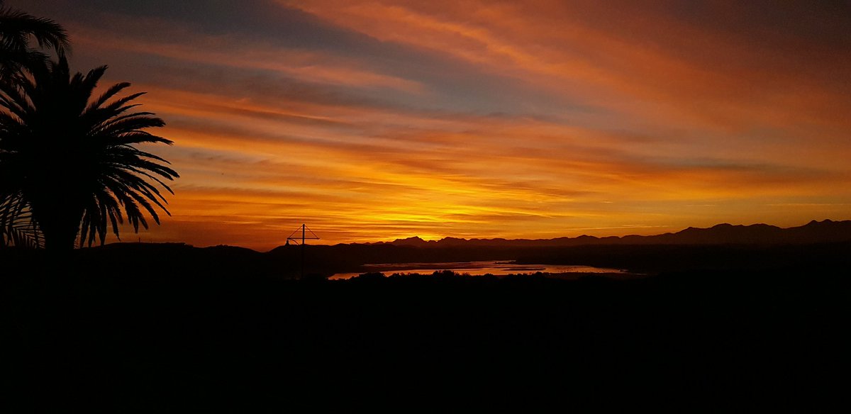 Elle PhotoSA📸 tweet media