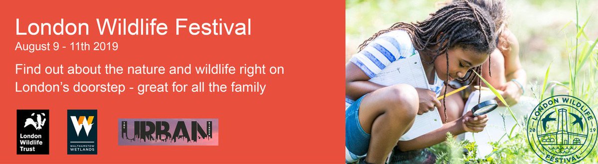 Calling all swifts! 10% discount on tickets for the London Wildlife Festival taking place at Walthamstow Wetlands. Available to participants (&amp;friends/family) who took part in the 1000 Swifts and Urban Swifts projects!
eventbrite.co.uk/e/london-wildl…