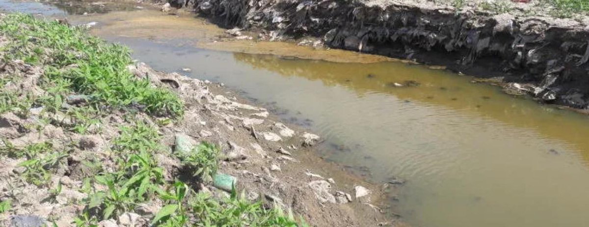 PlasticPollutes's tweet photo. Freshwater is getting neglected when it comes to plastic pollution research. 
“The oceans are the heart of the planetary ecosystem. But the arteries are all the freshwater.”
https://t.co/ZF9uHGhFtY https://t.co/qNtuja407S