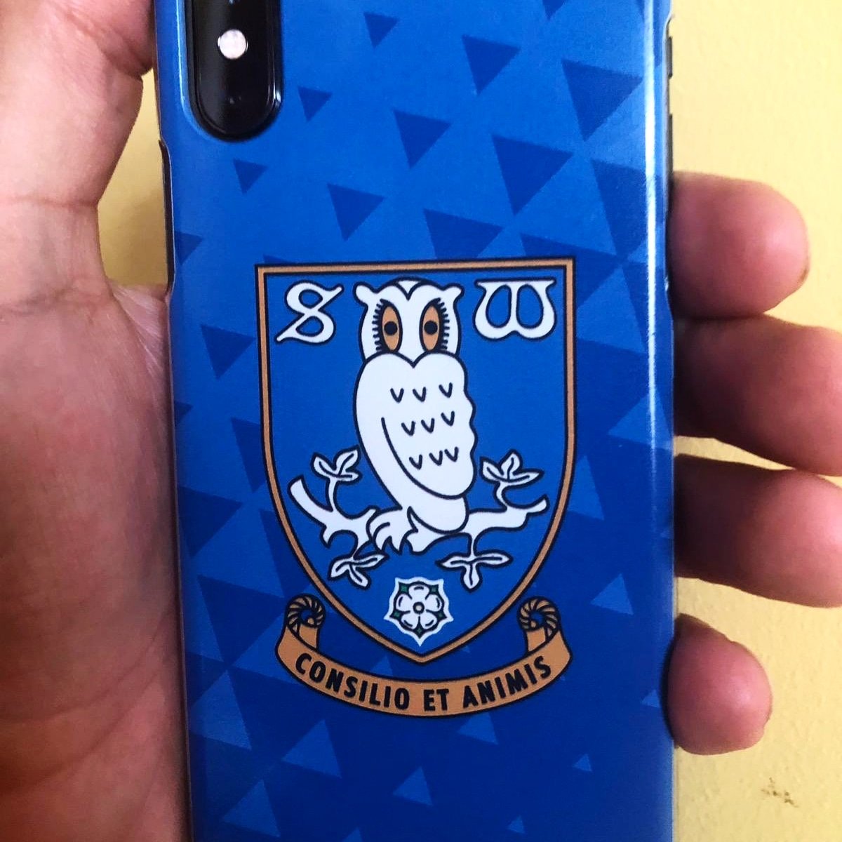 theterracestore's tweet image. Owls! Retweet and follow for a chance to win a free official @swfc phone case from theterracestore.com #swfc