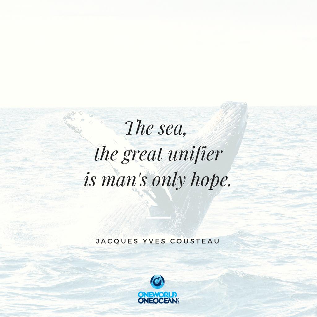 Happy #WhaleWednesday! 🐋🌊💙⁣⠀
⁣⠀
#oceanconservation #nobluenogreen #saveourseas #1world1ocean #cleanoceans #protectthemarinelife