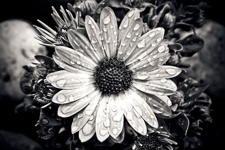 LanaToro21's tweet photo. #Russianquote Люди гораздо больше, чем вещи, нуждаются в том, чтоб их подобрали, починили им сердце, нашли место и простили.
НИКОГДА НИКОГО НЕ ВЫБРАСЫВАЙТЕ....ЭТО БОЛЬНО😔💔😔 https://t.co/woRY9XCylX