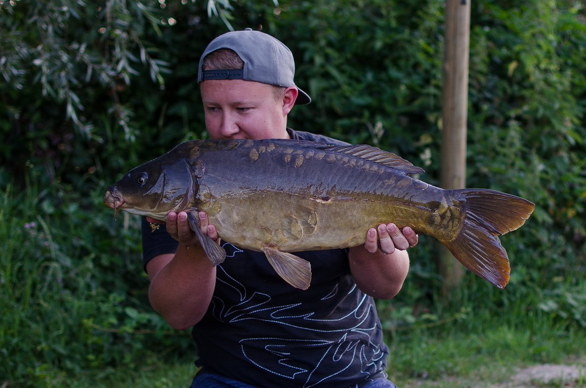 BristolAnglingCentre tweet media